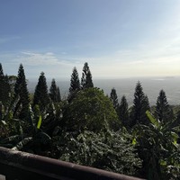 Фото отзыва 1: экскурсия "К священной горе Таку и чамским храмам (из Фантьета или Муйне)"