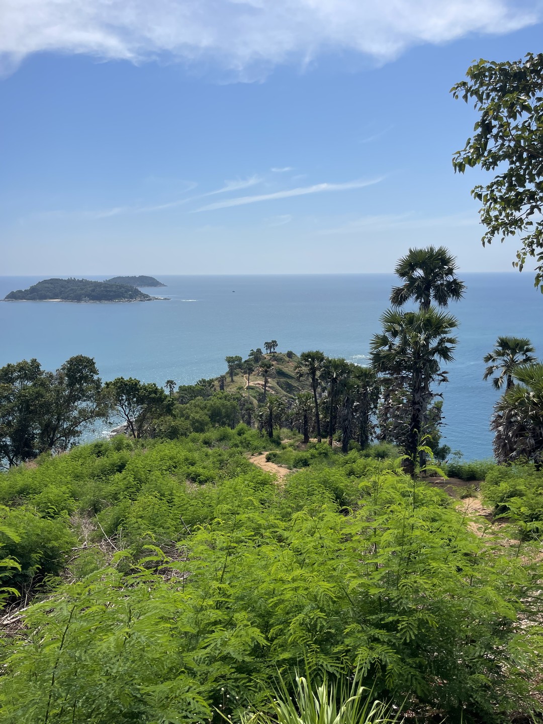 Всё прошло отлично, отличный гид, отличная экскурсия