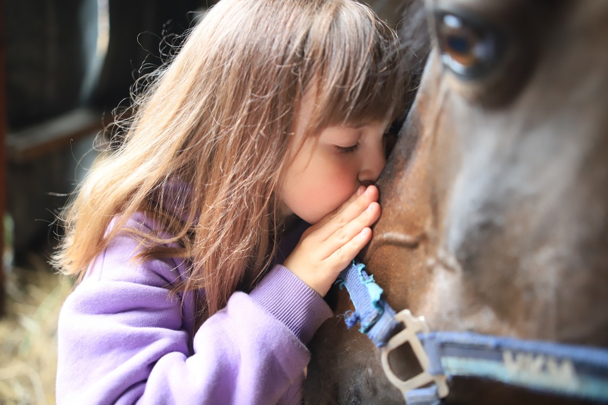 Визит на конюшню для взрослых и детей (7/11)