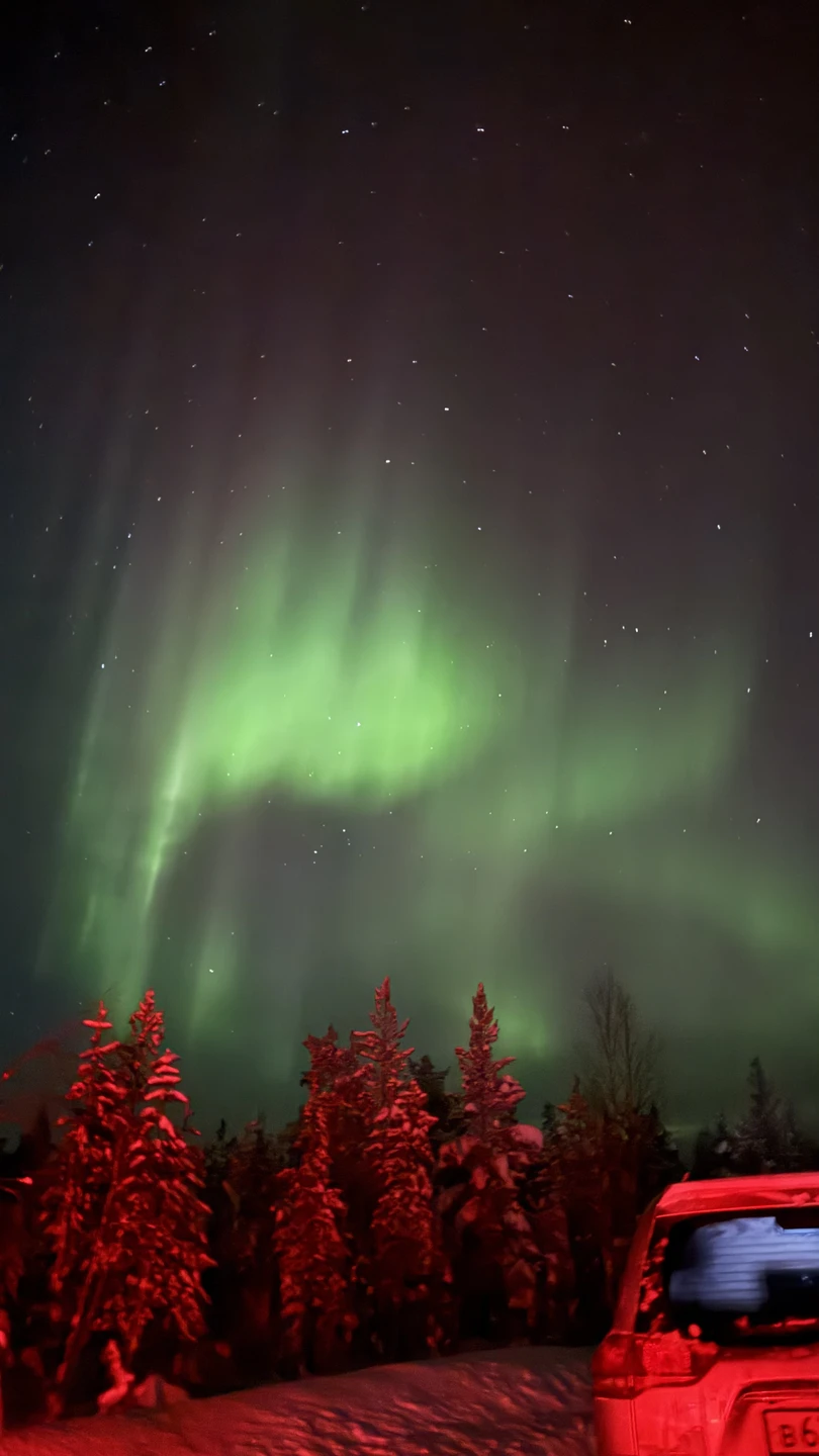 Спасибо большое Артему за экскурсию! Искали долго, но нашли! Одна из самых необычных экскурсий в моей жизни!
