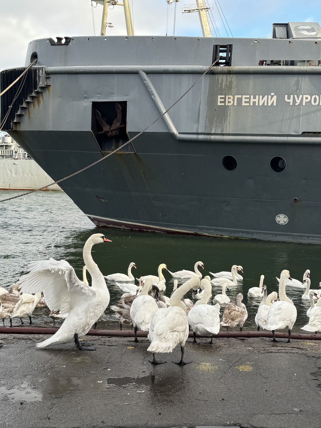 К Диане мы уже не первый раз обратились) отличный рассказчик, знающий, компетентный гид, хороший маршрут. И