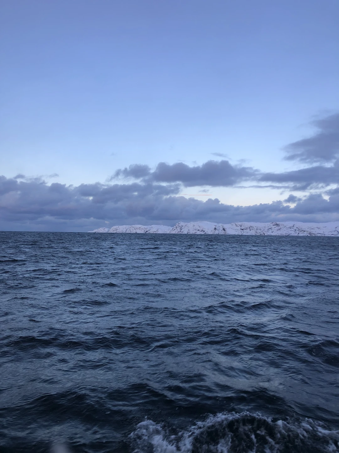 Киты, тюлени и невероятная Териберка (Юлия)