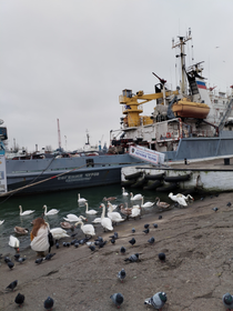 Фото 2: авторский тур «Своей компанией на западный край России: Калининград, побережье Балтики, наследие Тевтонского ордена»