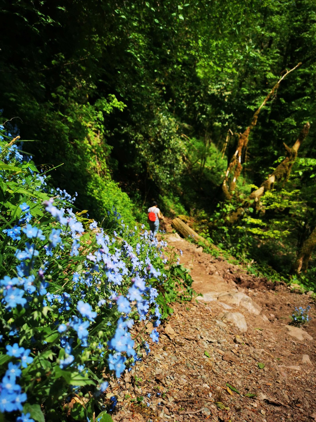 Огромное спасибо Александру на прекрасный день!