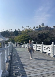 Фото отзыва 1: экскурсия "Чеджу — остров, куда хочется вернуться"