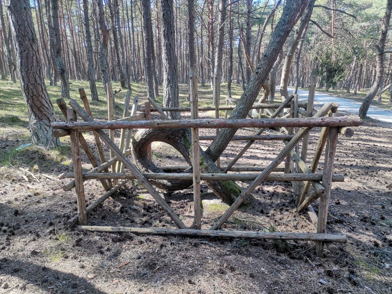 Великолепная Куршская коса и очаровательный Зеленоградск (из Янтарного)