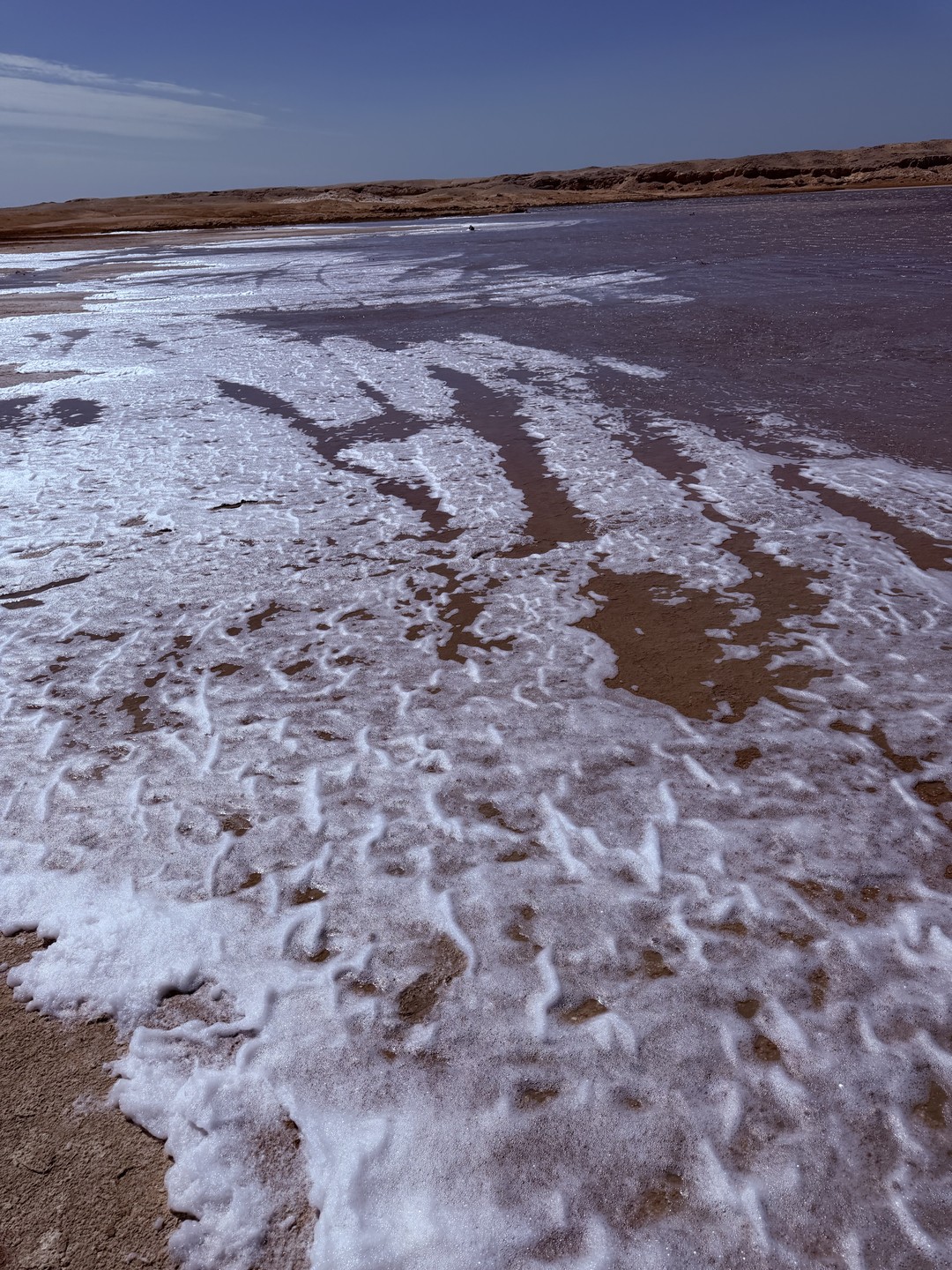 Экскурсия в заповедник Рас-Мохаммед оставила очень яркие впечатления. Огромная благодарность гиду Махмуду за отличную организацию и