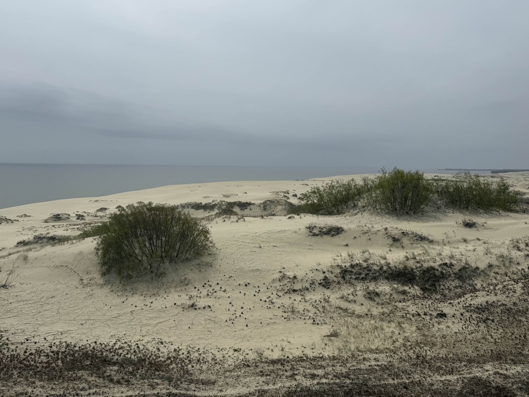 Куршская коса, Зеленоградск и замок Нессельбек - влюбиться за один день (Антон)