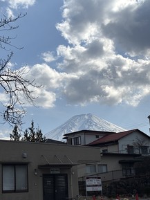 Фото отзыва 2: экскурсия "У подножья Фудзиямы (из Токио)"