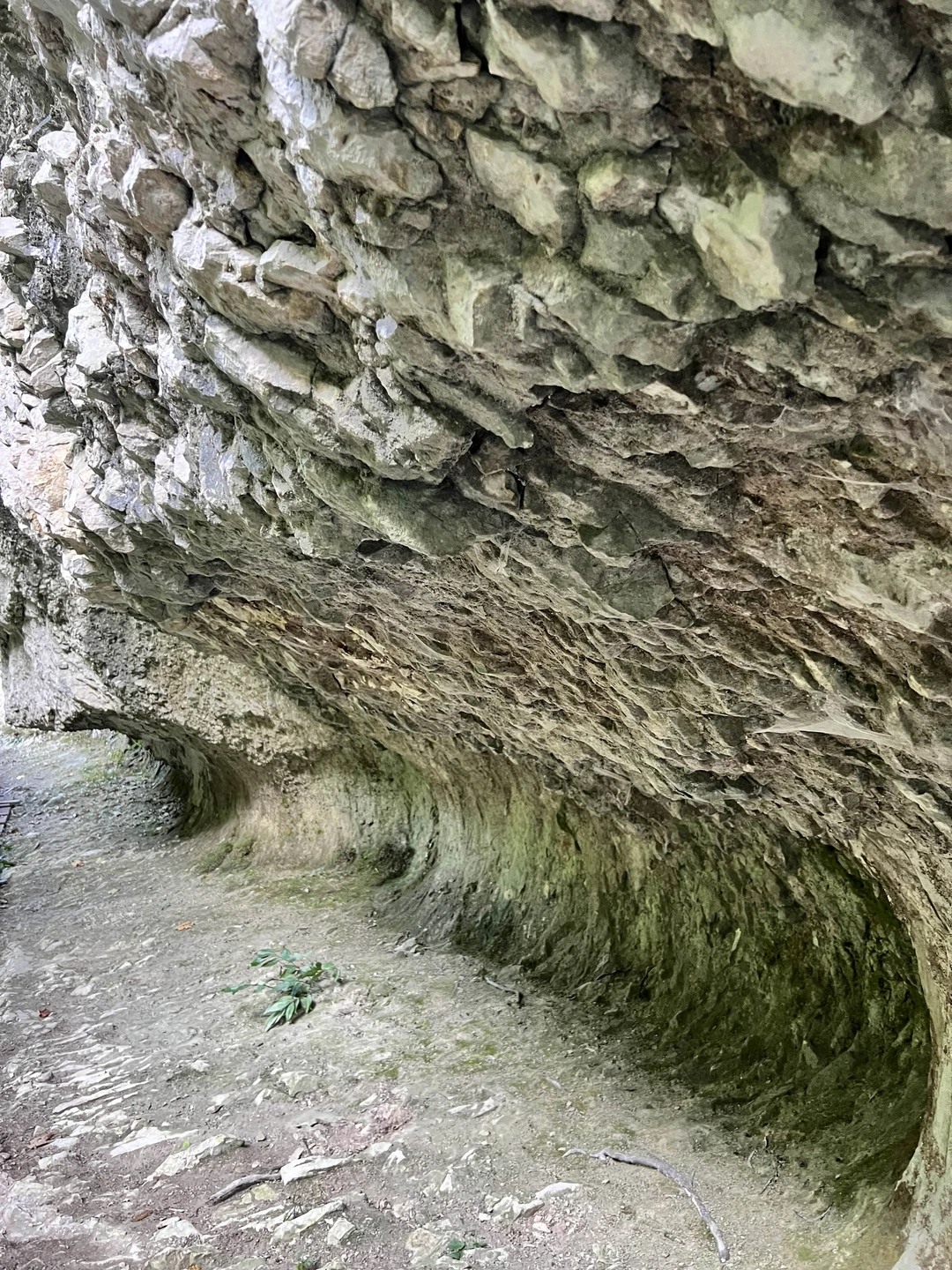 Отличная прогулка по заброшенной дороге в горах Красной поляны по осенним, залитым солнцем склонам, с заездом