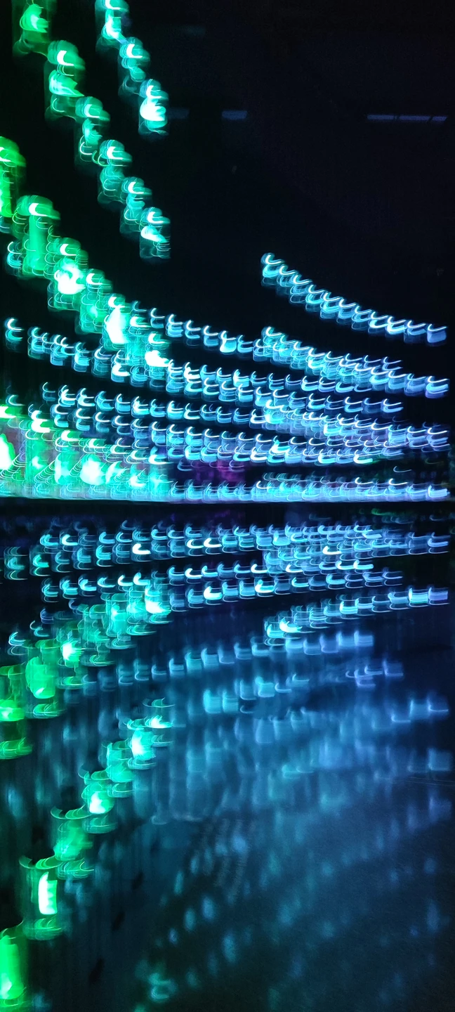 Заказывала у Виктории билеты сразу на несколько достопримечательностей в Дубае и Абу-Даби: