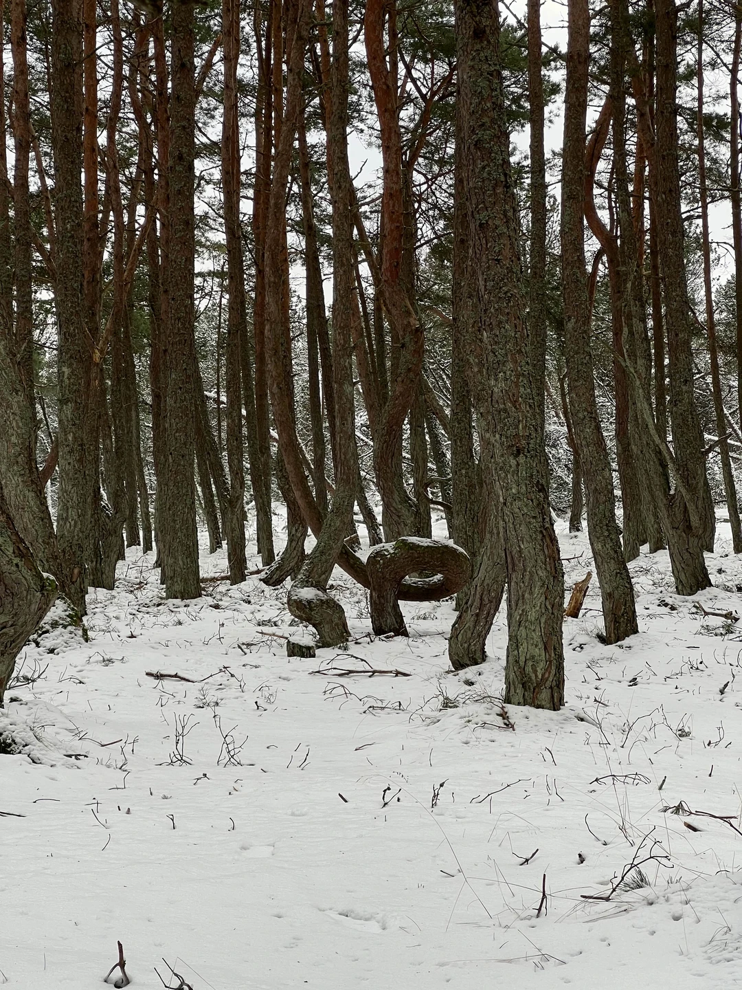 Очень понравилась экскурсия, несмотря на то, что есть пеший маршрут - совершенно не напряжная для всех