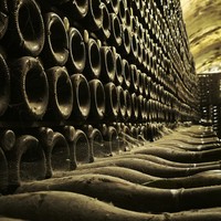 Фото отзыва 3: экскурсия "Абрау-Дюрсо — экскурсия в колыбель российского шампанского"