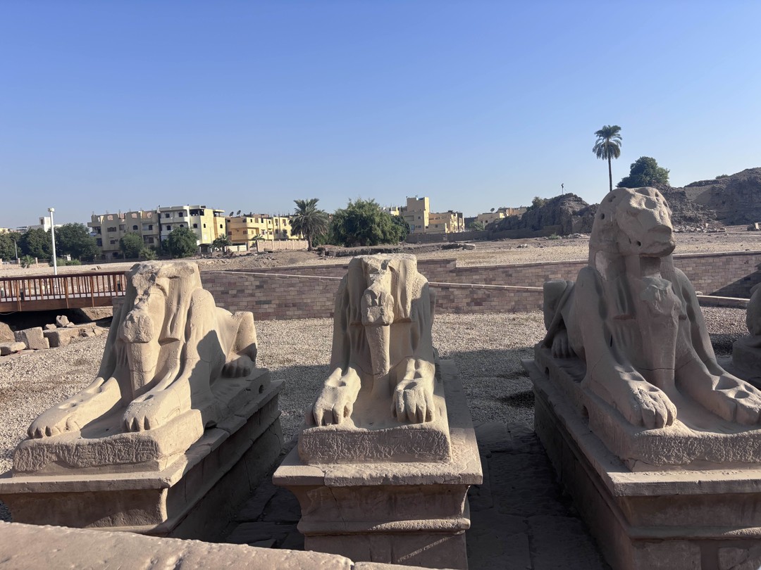 Отличная экскурсия!!!! Очень грамотно спланирован маршрут, дети 9 и 11 лет выдержали без проблем! Много новой