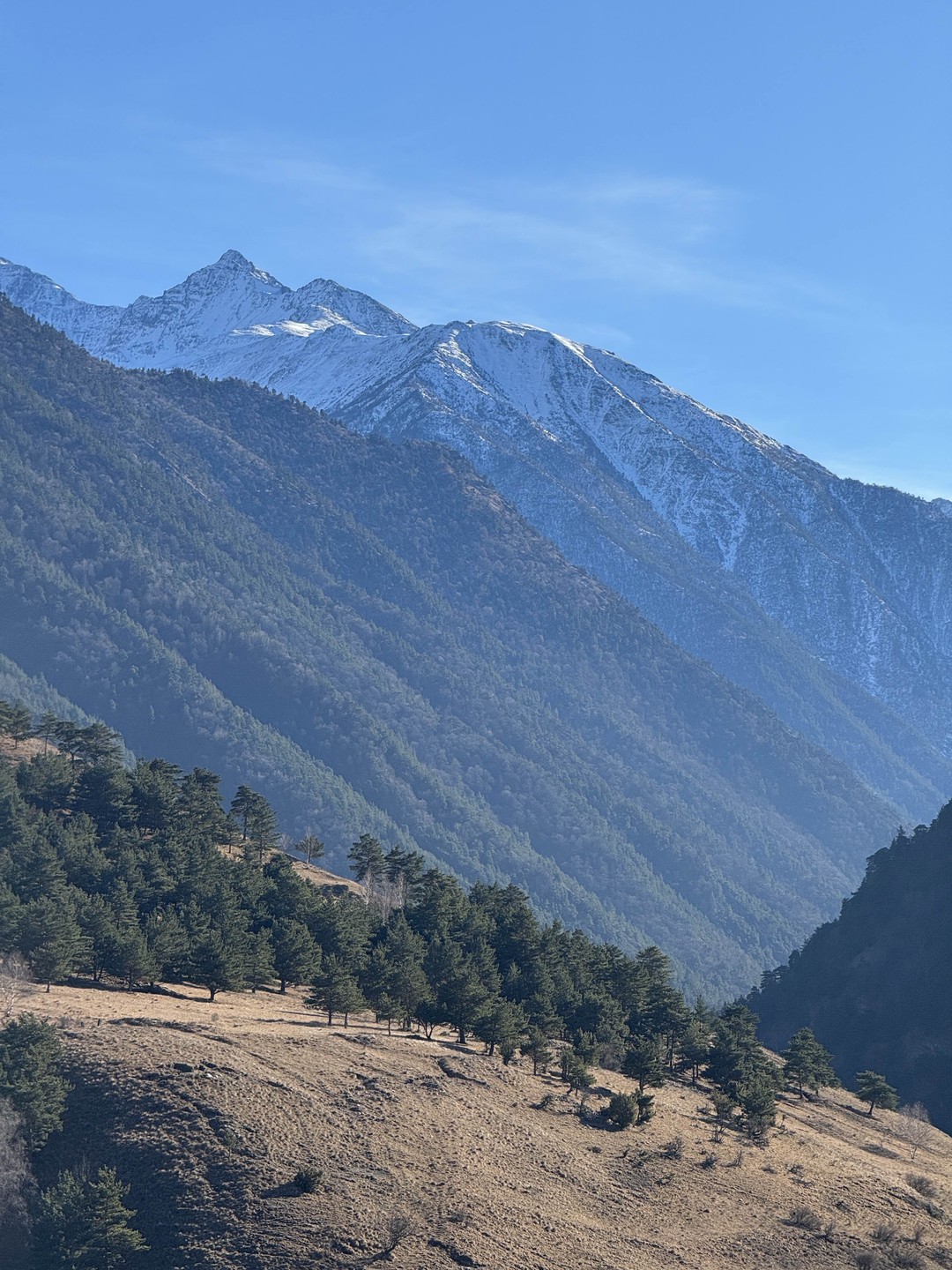Прекрасный тур, отличные гиды, хорошая организация