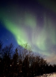 Фото отзыва 3: экскурсия "В погоню за полярным сиянием!"