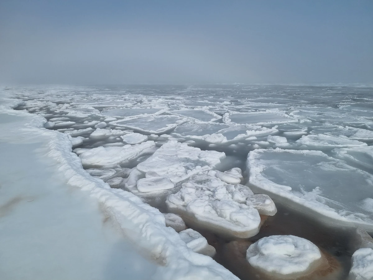 Топ-5 мысов острова Русский! (23/29)