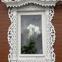 Фото отзыва 3: экскурсия "Городец как слоеный пирог истории"