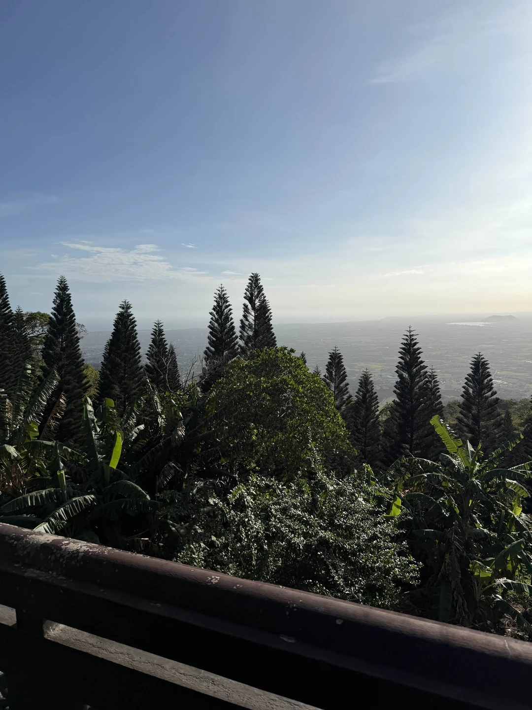 Интересная экскурсия, недалеко от Муйне посмотреть на Вьетнам с горы, полюбоваться видами. Гид Элла - все