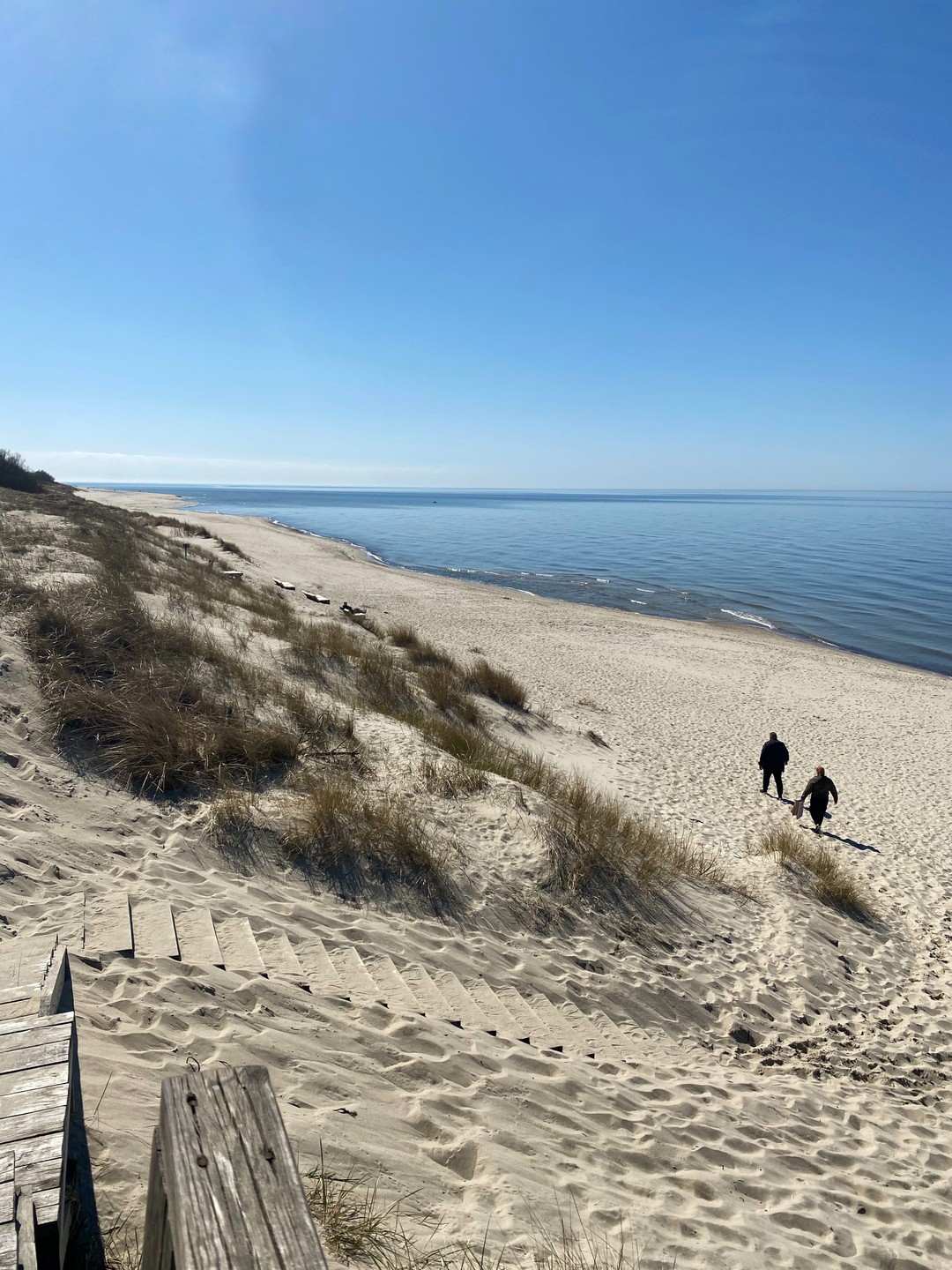 На Куршскую косу с опытным гидом - из Калининграда (Елена)