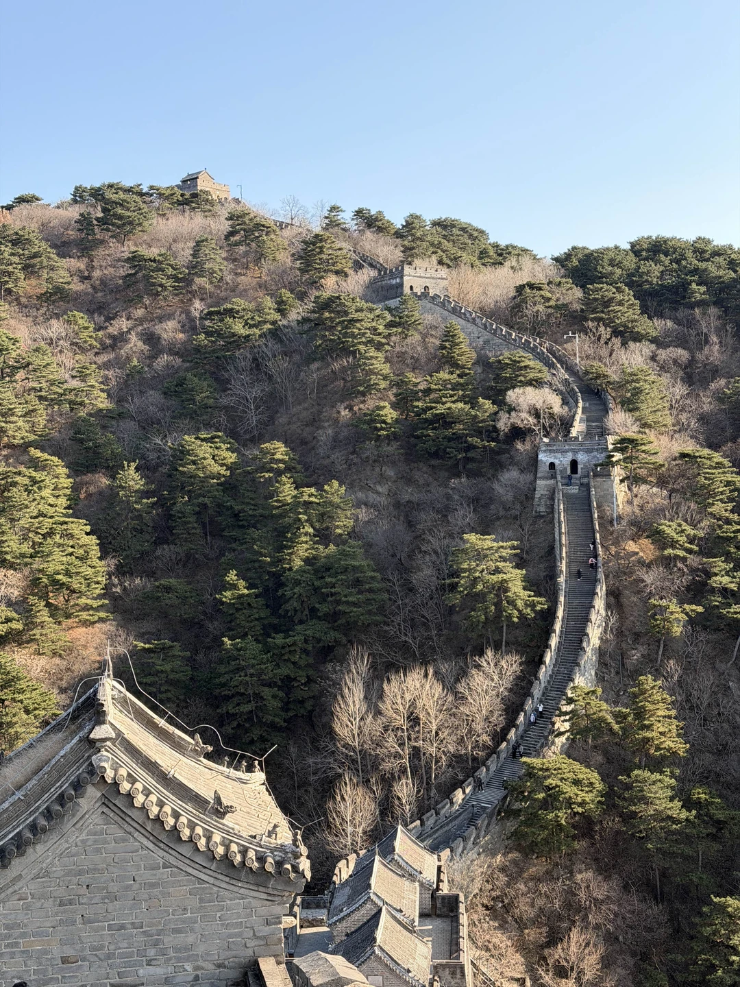 10/10!Самые лучшие впечатления от экскурсии! Я искала именно такого экскурсовода как Евгений! С самого начала до