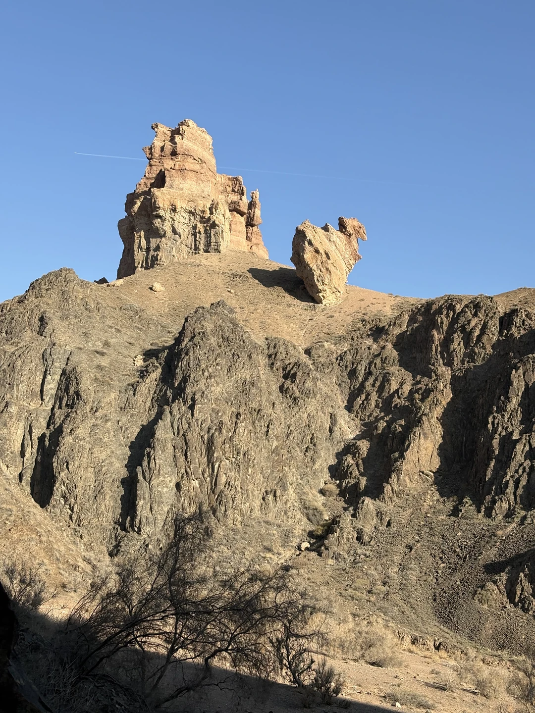 Невероятное чудо расчудесное)))