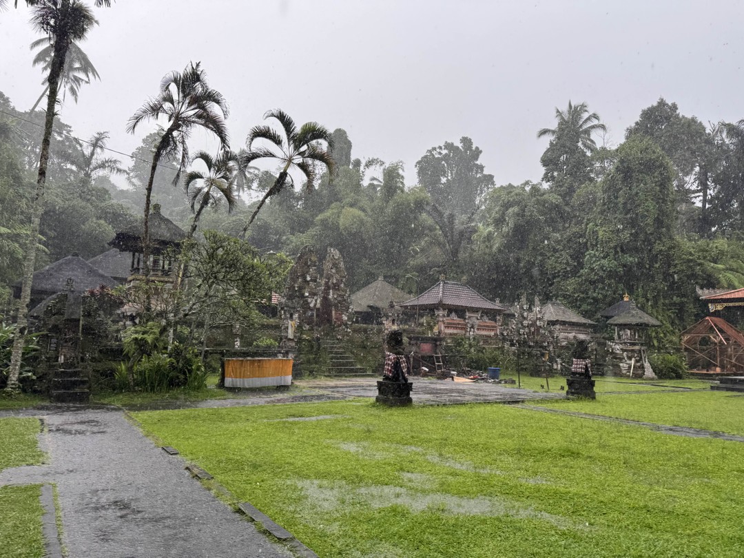 Все четко! Получили массу впечатлений несмотря на ливень. Обезьяны стащили только пакет к орешками и бананами