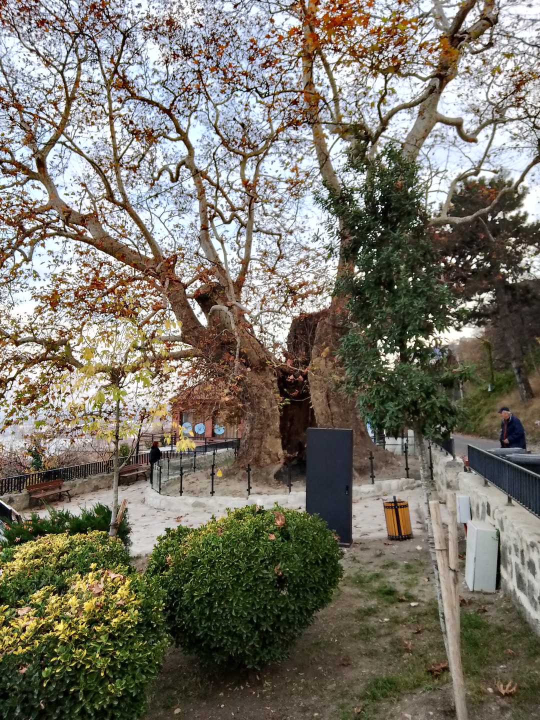 Классная экскурсия! Получила огромное удовольствие от дегустаций и прогулок с гидом Георгием!