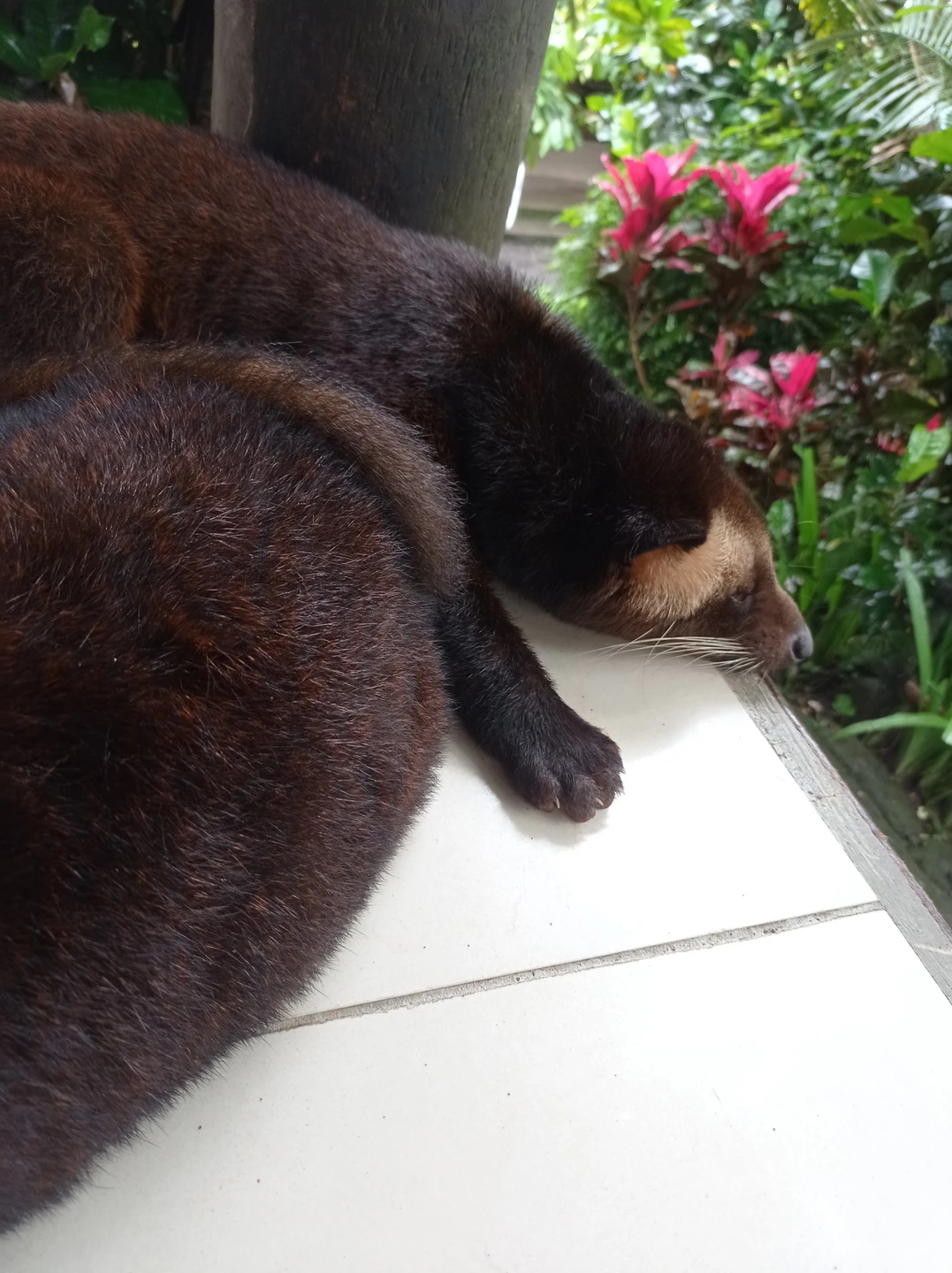 Сила отличный гид, все было очень интересно! Организация экскурсии на отлично!