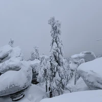 Фото отзыва 2: экскурсия "Каменный город и Усьвинские Столбы"