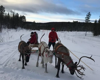 Саамские мотивы