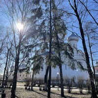 Фото отзыва 3: экскурсия "7 чудес Вологды"