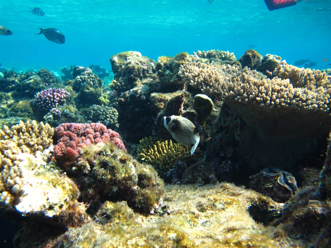 Замечательная, ненавязчивая поездка… Богдади молодец, всё по делу, лишнего не втирает и не впаривает, как многие другие… особенно отельные гиды))