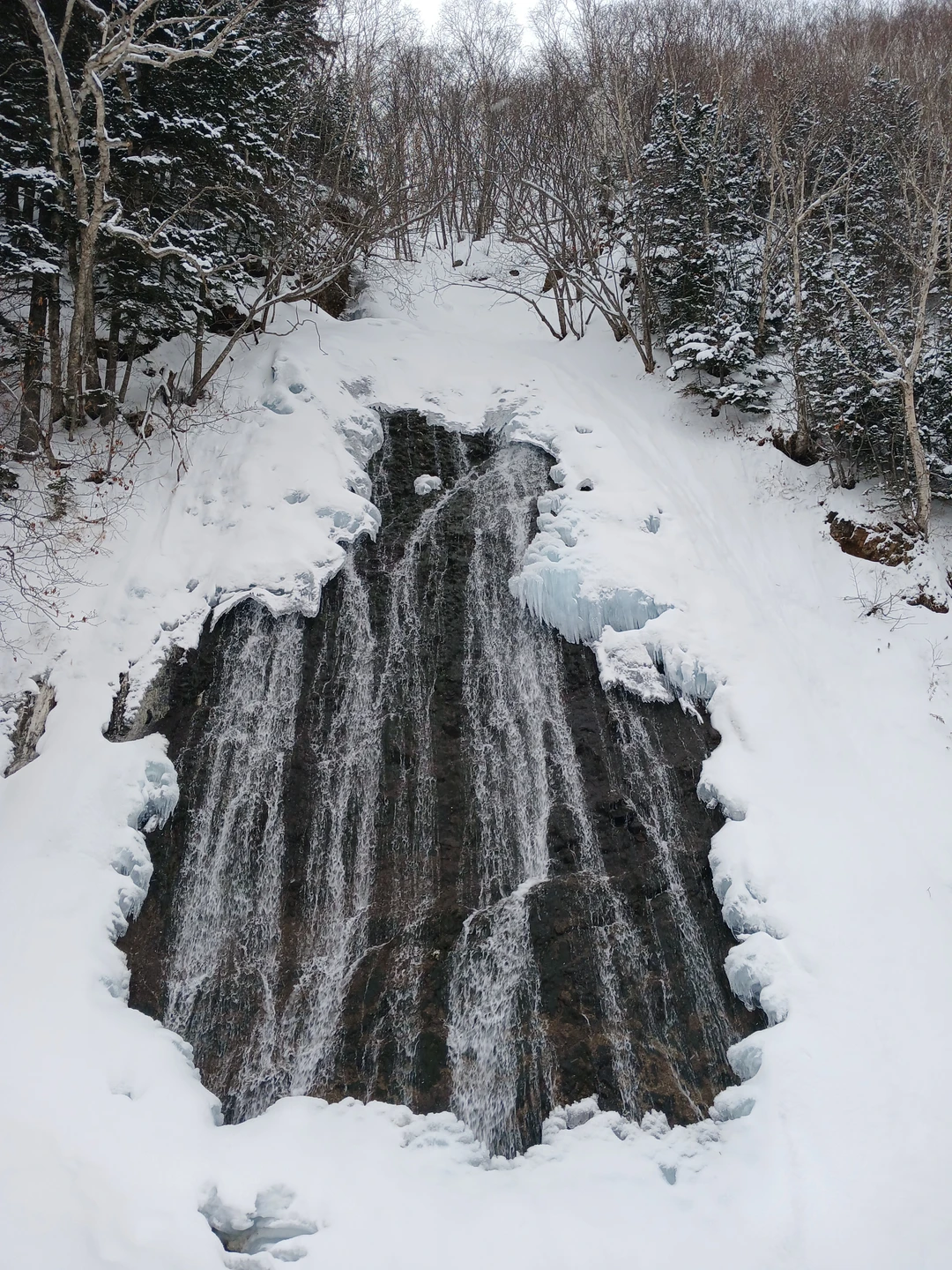 Зимняя сказка Сахалина (Владимир)