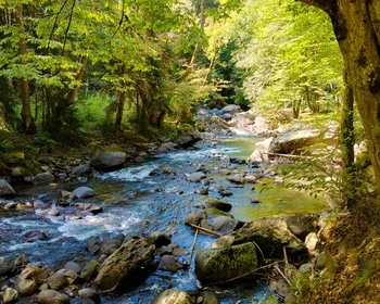 Крепость Рабат, Боржоми, отъезд