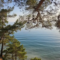 Отзыв о экскурсии "Секретные места Большого Геленджика" — фото 2