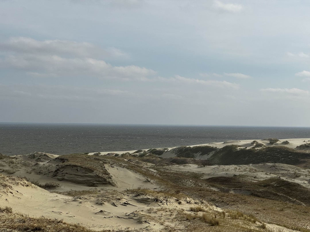 Прекрасный насыщенный тур по Калининграду и областным городам, от которых мы, как туристы, пришли в не