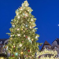 Фото отзыва 2: экскурсия "Свидание со Страсбургом"