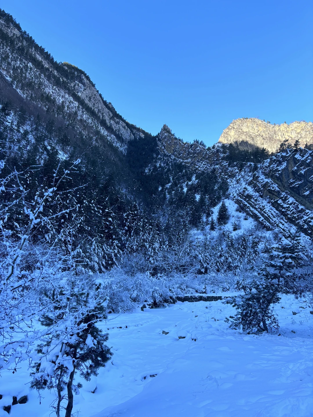 Большое спасибо за прекрасное путешествие. Только отличные эмоции, настроение и новые впечатления. Были с детьми от