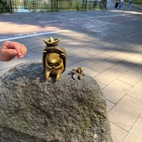 reviews img