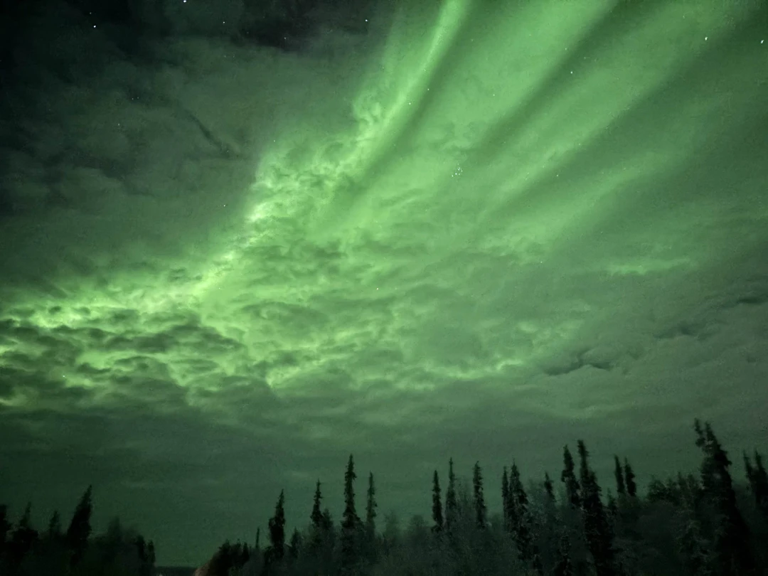 Фантастическое путешествие