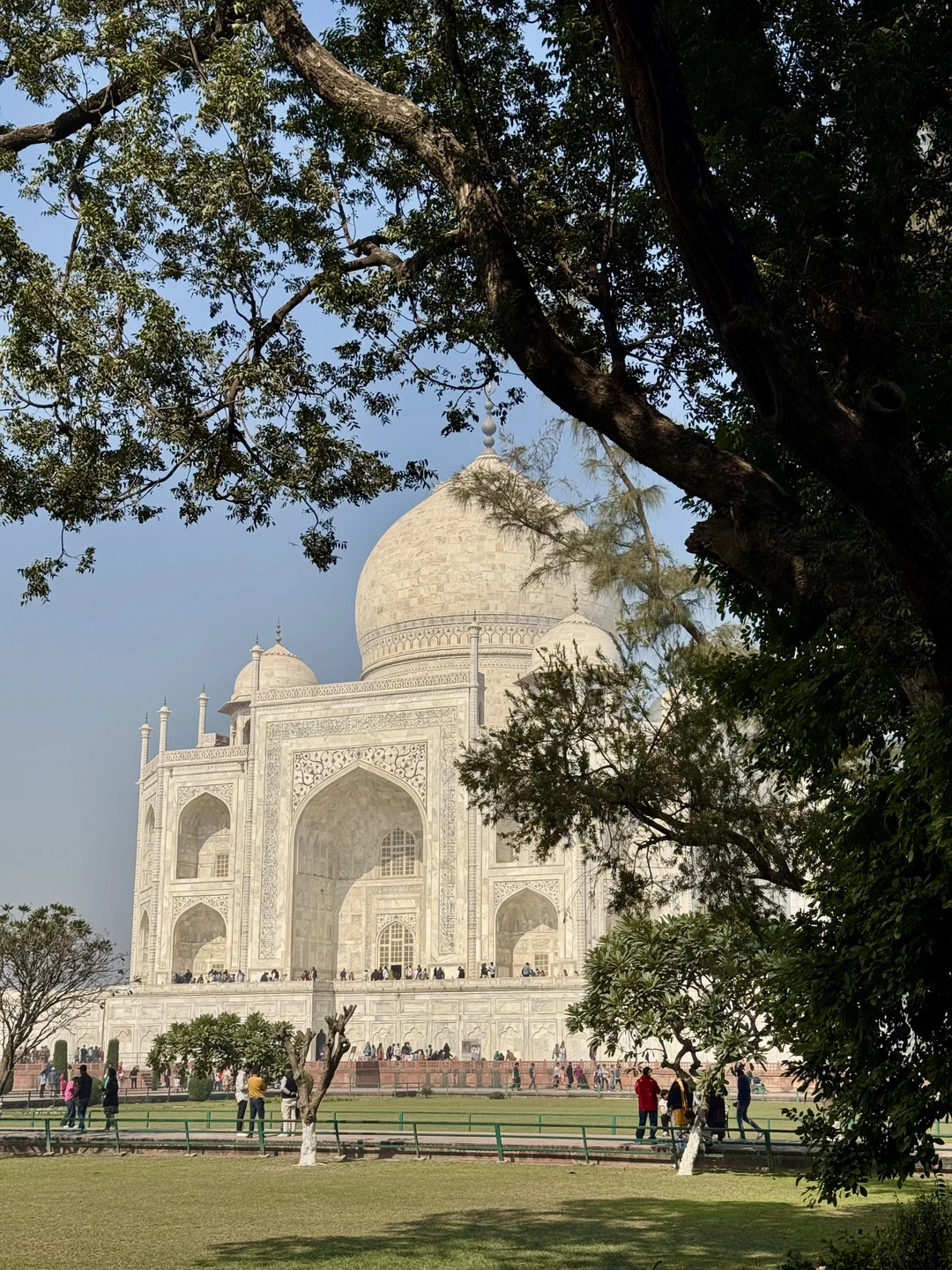Все прошло прекрасно! Нас встретили утром у отеля в Дели! Очень комфортно довезли до Агры, где нас встретил Али!