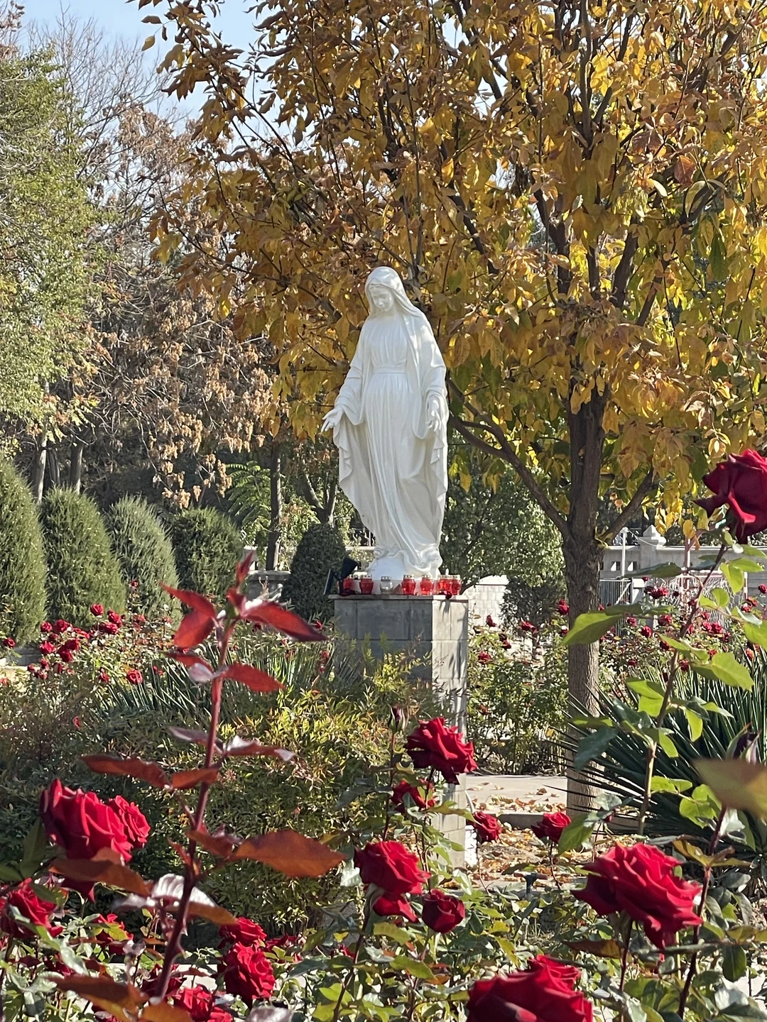 Огромная благодарность Алишеру за превосходную экскурсию по Ташкенту! Множество интересных исторических фактов мы узнали в процессе