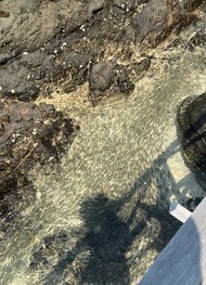 Фото отзыва 4: экскурсия "Из Паттайи — на Изумрудный остров (всё включено)"