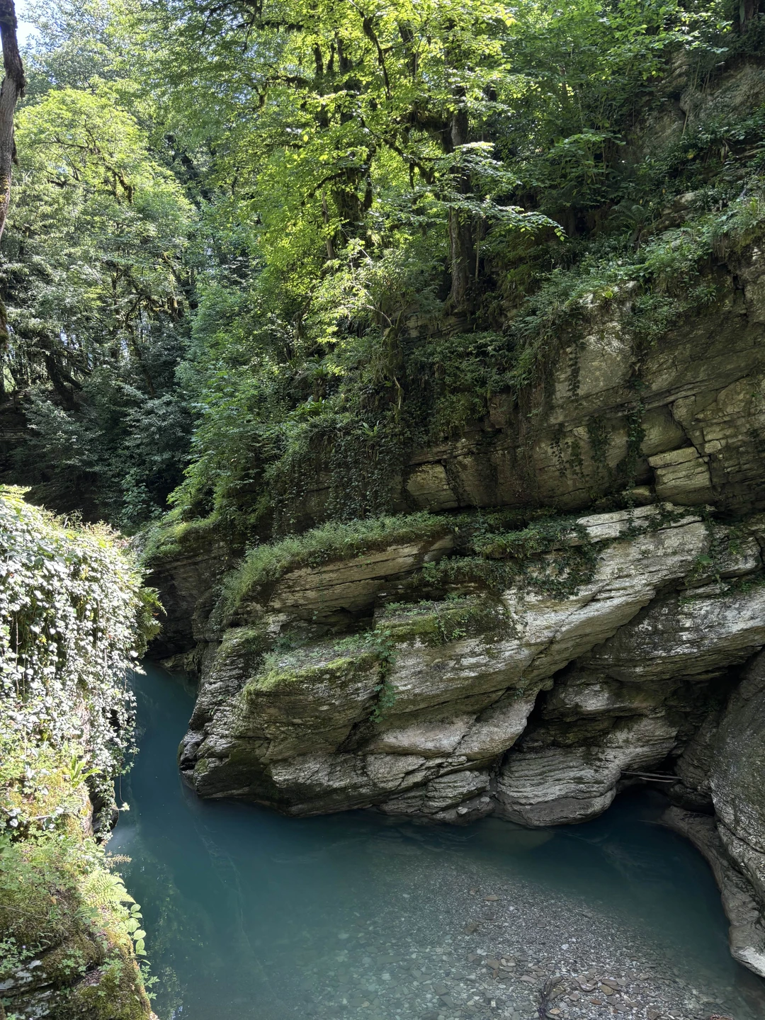 Ходили трекинг с племянницей 11 лет, с гидом Семеном, это восторг! Для тех, кому недостаточно вида
