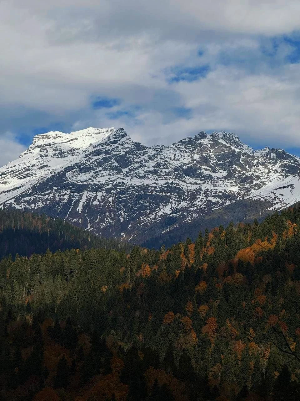 Ездили с подругами втроем, одна из нас когда-то давно уже была в Абхазии, но впечатление у