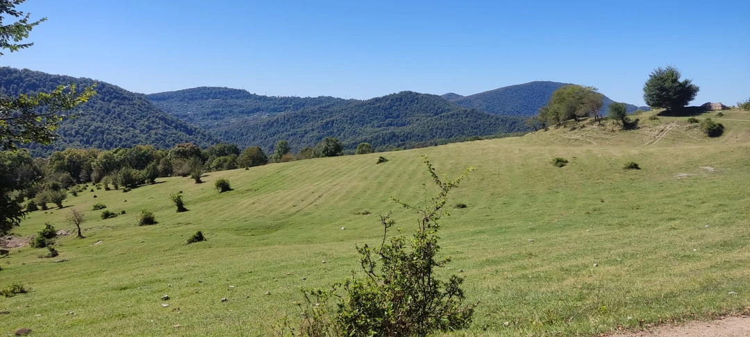 Хочу сказать огромное спасибо Даниилу, отличный парень, коренной сочинец, обожающий природу Сочи, знающий почти всё глубинки