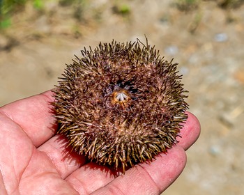 Окончание тура