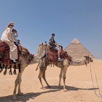 reviews img