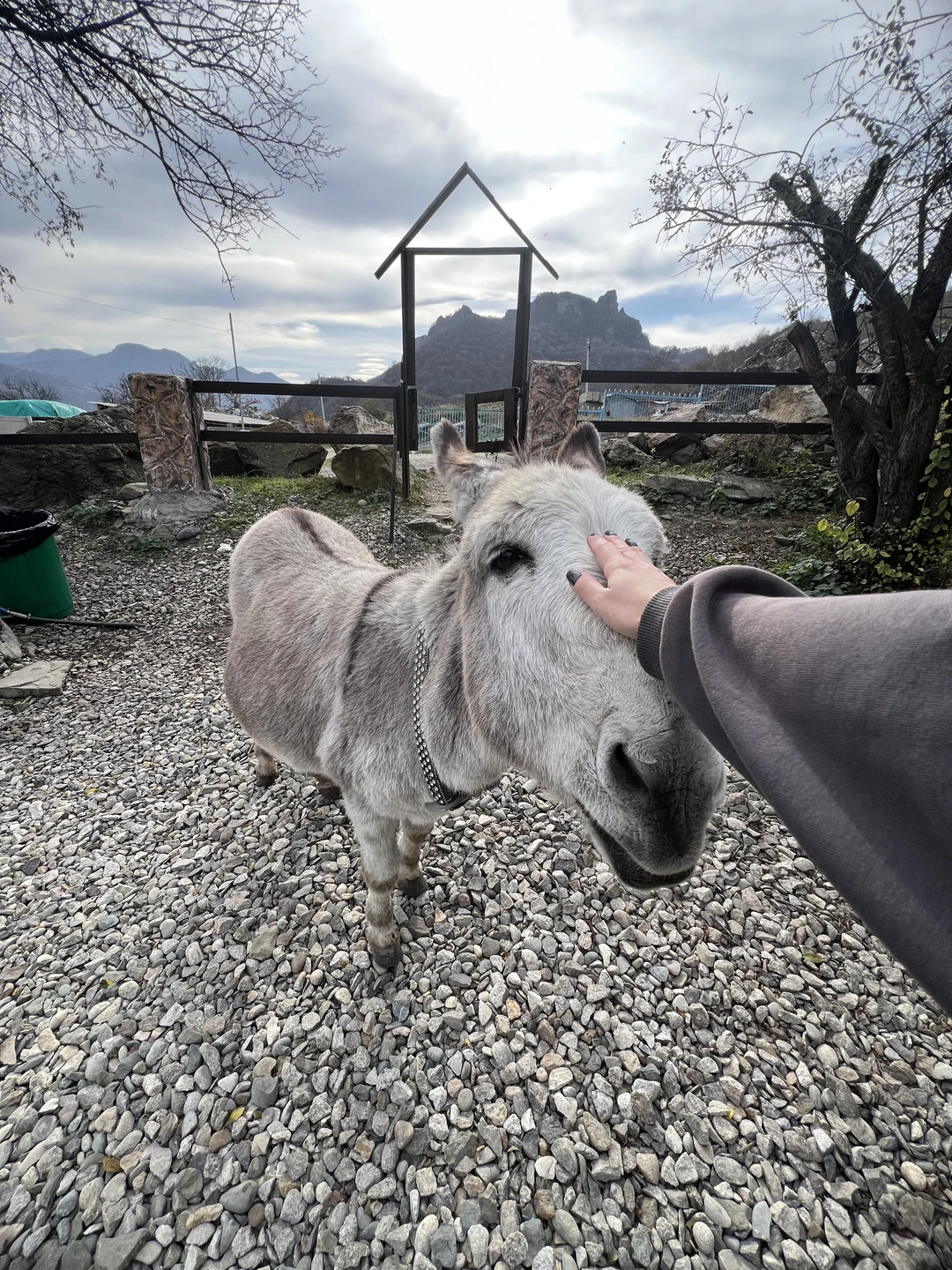 Великолепный тур, я увидела столько всего, погладила столько разных животных, впечатлений море! Советую!!